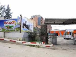 Algérie - Filière lait: Lever les obstacles à la production nationale