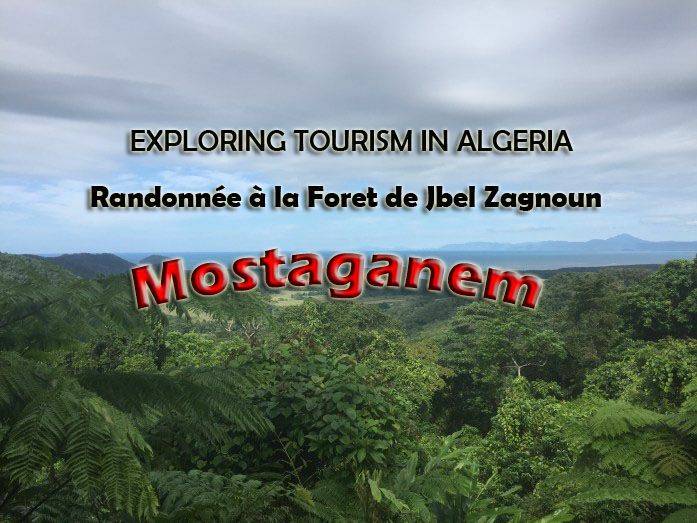 Randonnée à La Forêt De Djbel Zegnoun