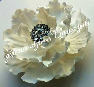 Le 8 Mars La Fête De La Femme