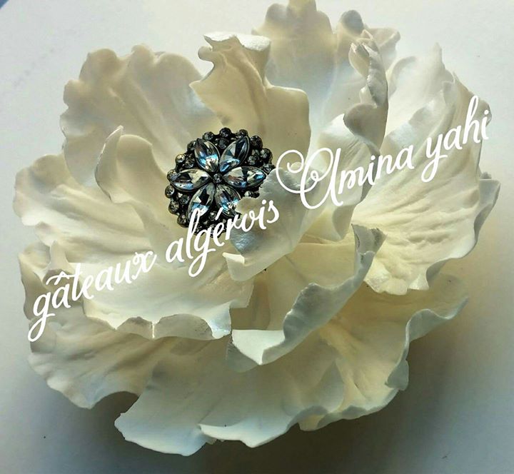 Le 8 Mars La Fête De La Femme