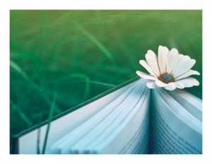 « L'enfant des Aurès » de Zine Bakhouche, un fabuleux destin, son autobiographie