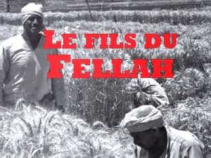 Tami Medjbeur, des publications à profusion