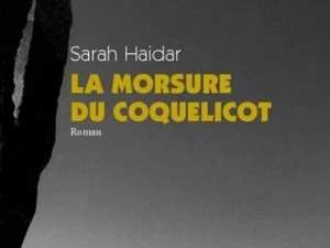 ROMAN - Haidar de retour