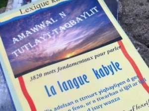 Un dictionnaire de lexique kabyle sur le marché Œuvre de Karim Chikh, animateur à Radio Soummam