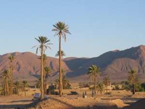4e édition du salon national du livre à Bechar : Une manifestation culturelle très attendue
