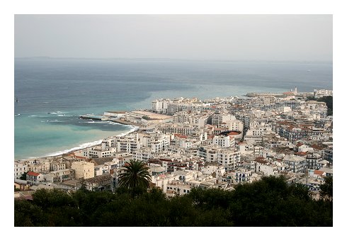 Samir Toumi fait part de son autobiographie en décortiquant la capitale d'Algérie dans « Alger, le cri »