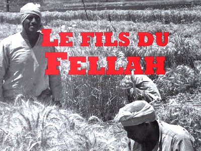 Tami Medjbeur, des publications à profusion