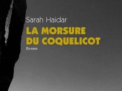 ROMAN - Haidar de retour