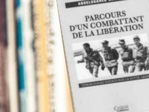 Le journal anti-langue de bois d'un jeune maquisard Parcours d'un combattant de la libération de Abdelouahab Guedmani
