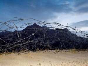 Lettres en vues Art et littérature . Croisements féconds