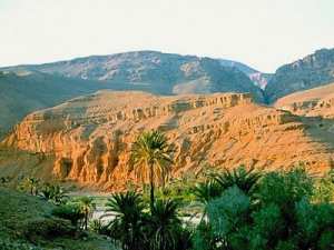 Naissance d'un café littéraire à Biskra Djemorah se réveille de sa léthargie culturelle