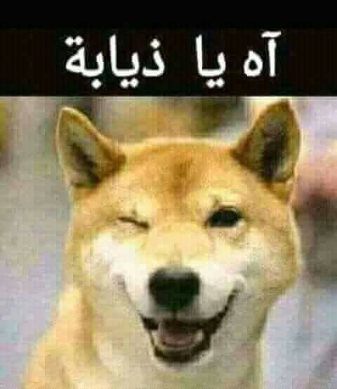 شارك المجتمع برأيك الصريح