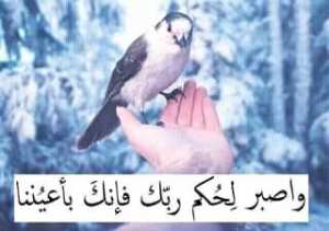 مرحبا بالجميع