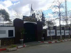 معرض للزهور و النباتات التزينة