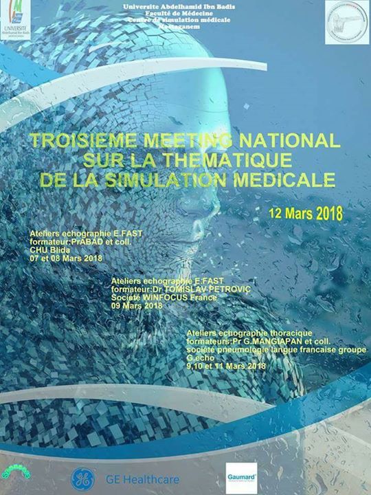 Troisième Meeting Sur La Simulation