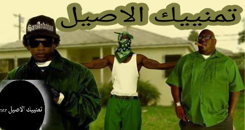 ﺗﻤﻨﻴﻴﻚ ﺍﻻﺻﻴﻞ M'sila