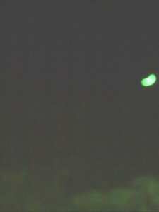 les tout paye sur mounde' cherche les peux pour ?z