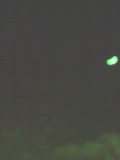 les tout paye sur mounde' cherche les peux pour ?z