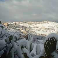 AMALOU SIDI AHMED BEN YAHIA (amalou sidi yahia)