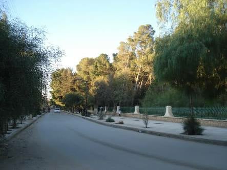 ACTION BÉNÉVOLAT POUR LA RESTORATION DU BOIS DE BOULOGNE !