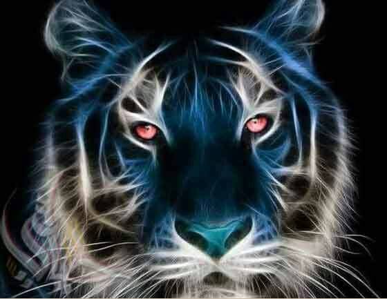 Anniversaire JSD EN NEMRA