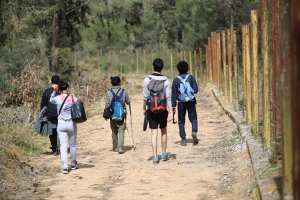 Exploration à la Forêt de M'sila