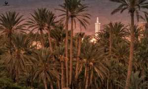 رحله استكشافية ترفيهيه الى بوابة الصحراء بسكرة