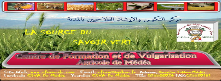 Atelier de mise en oeuvre du plan de modernisation de l'appareil