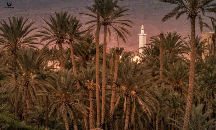 رحله استكشافية ترفيهيه الى بوابة الصحراء بسكرة