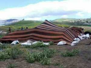 ﻣﺴﺎﺑﻘﺔ ﺍﻟﺨﻴﻞ ﻓﻲ ﺩﺍﺋﺮﺓ ﺳﻴﺪﻱ ﻋﻴﺴﻰ