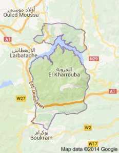 الخروبة في سطور