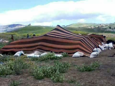 ﻣﺴﺎﺑﻘﺔ ﺍﻟﺨﻴﻞ ﻓﻲ ﺩﺍﺋﺮﺓ ﺳﻴﺪﻱ ﻋﻴﺴﻰ