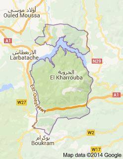 الخروبة في سطور