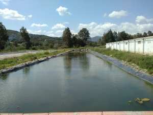 Formation Pratique Agro-piscicuture