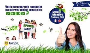 المخيم الربيعي IN-tuition