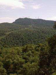 La beauté spécifique de la Maouna(Guelma)