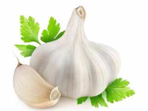 الثوم وفوائده