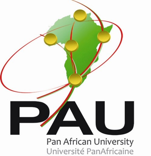 A propos de l'Université panafricaine