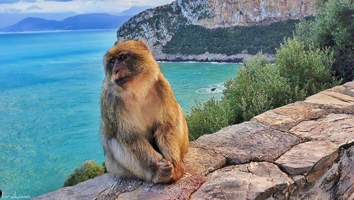 Bejaia