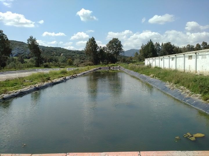 Formation Pratique Agro-piscicuture