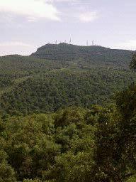 La beauté spécifique de la Maouna(Guelma)
