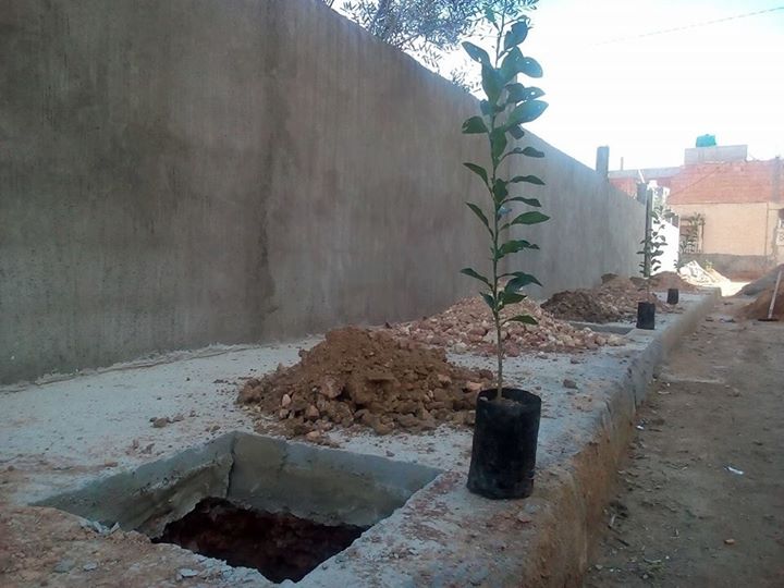 انطلاق الشطر الأول من حملة التشجير بحي بغداد