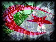 Hommage aux familles de nos valeureux chouhada