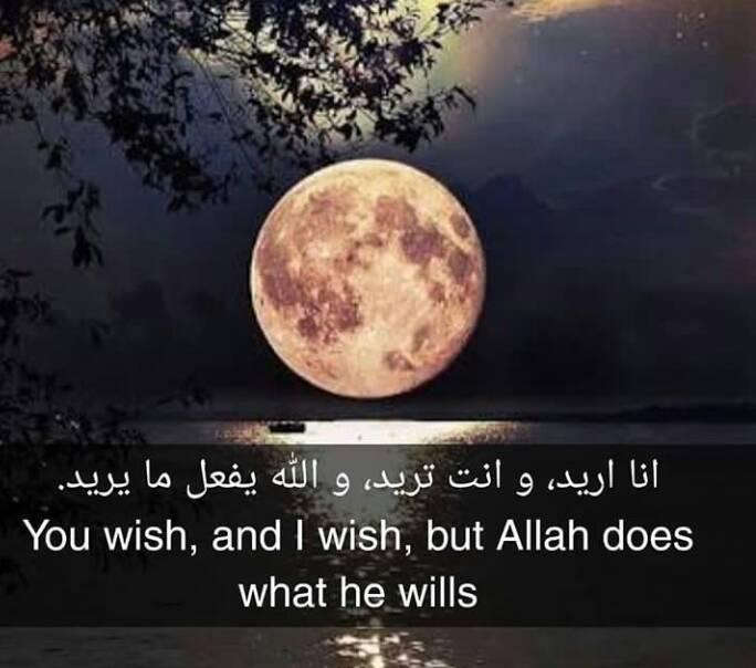 ﺻﻔﺤﺔ ﺟﺪﻳﺪﺓ ﻟﻠﺪﺭﺍﺳﺔ ﻭ ﺍﻟﺪﻋﻢ ﻭ ﺍﻟﻨﺼﺎﺋﺢ