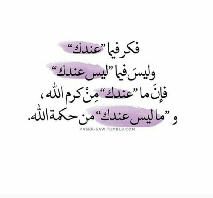 ﻳﻮﻡ ﺍﻧﺸﺎء ﺍﻟﺼﻔﺤﺔ