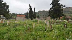 سكان المقابر في الجزائر.. أحياء يتعايشون مع الأموات