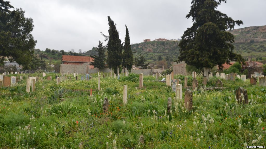 سكان المقابر في الجزائر.. أحياء يتعايشون مع الأموات