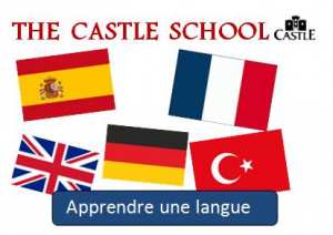 Alger Promotion Langues