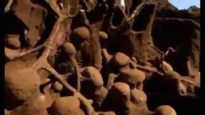 مذبحة دير ياسين التي نفذتها العصابات الصهيونية بطريقة بشعة ضدّ أهل قرية دير