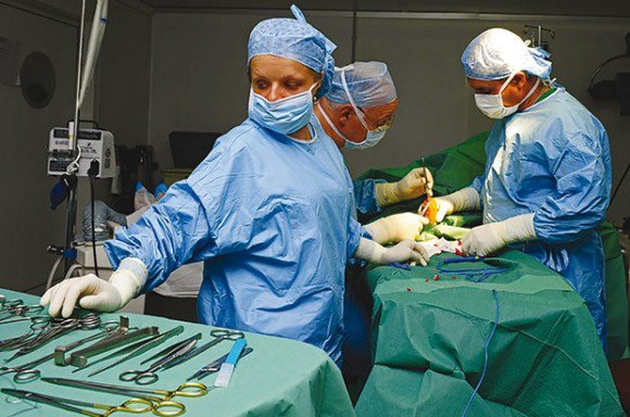 Le prélèvement d’organes sur des personnes décédées est une solution idoine pour la greffe rénale